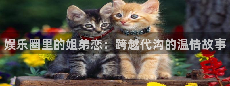 辉达娱乐平台app下载：娱乐圈里的姐弟恋：跨越代沟的温情故事