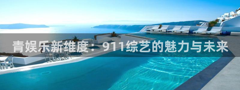 辉达登录：青娱乐新维度：911综艺的魅力与未来