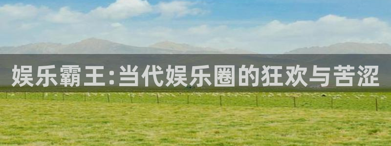 辉达注册地址：娱乐霸王:当代娱乐圈的狂欢与苦涩