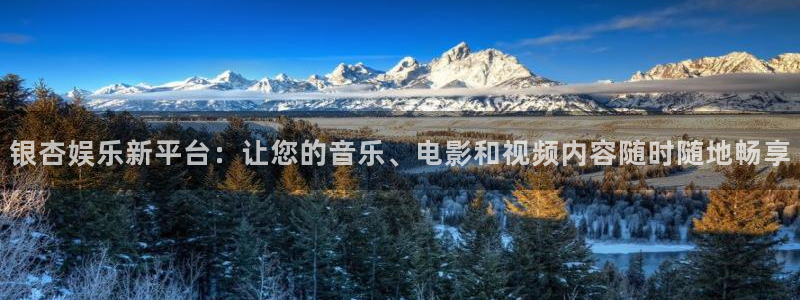 辉达娱乐网站：银杏娱乐新平台：让您的音乐、电影和视频内容随时随地畅享